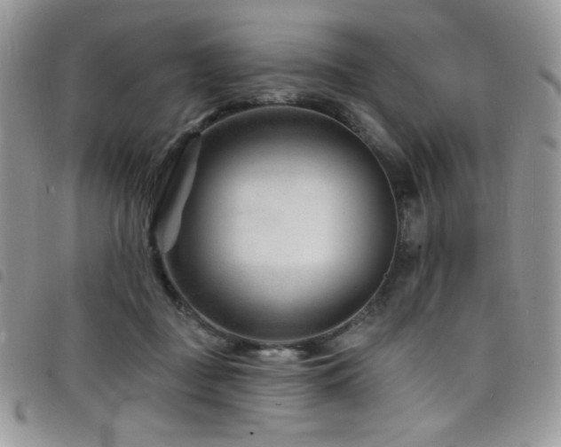 X0000098200363200804241258
