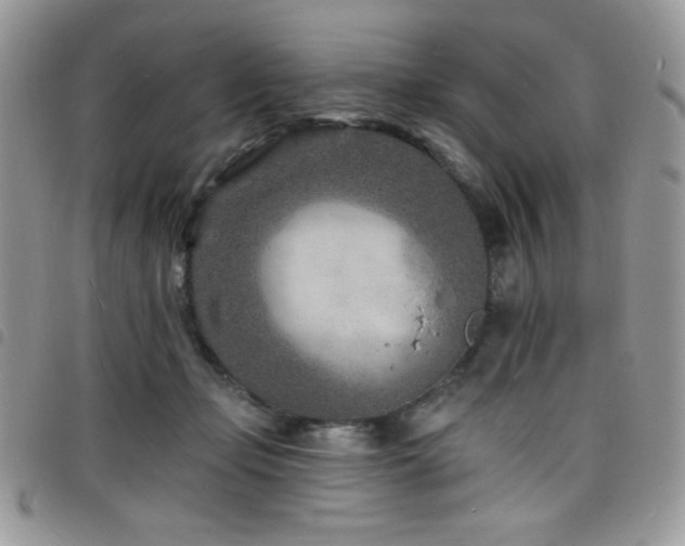 X0000098200365200804241258
