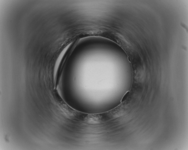 X0000098200368200804241258