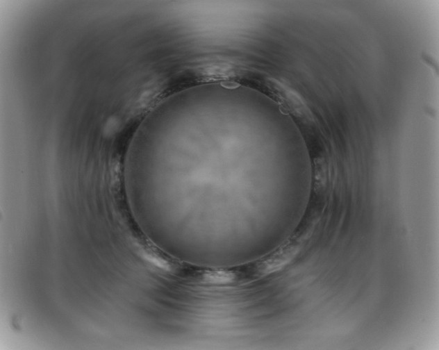 X0000098200369200804241258