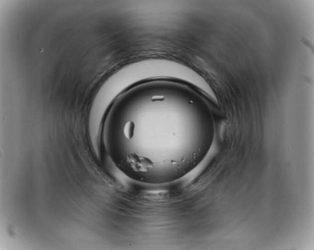 X0000098200370200804241258