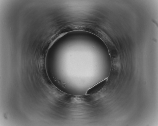 X0000098200372200804241258