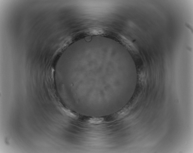 X0000098200373200804241258