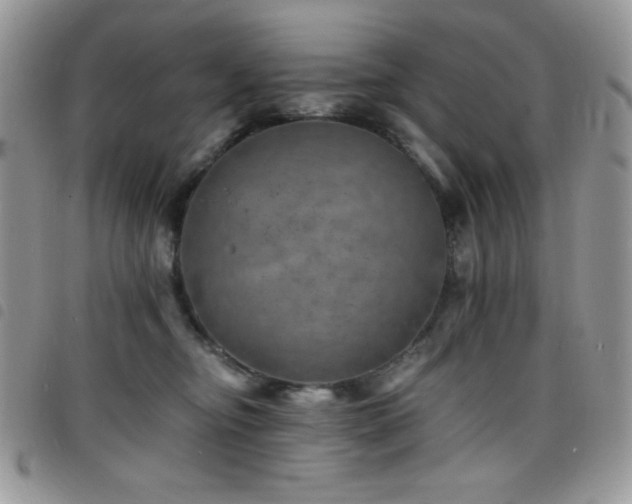 X0000098200374200804241258