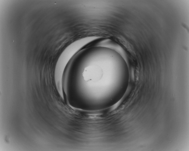 X0000098200376200804241259