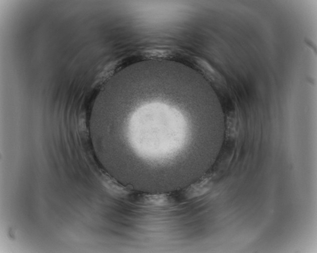 X0000098200377200804241259