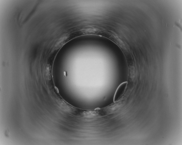 X0000098200378200804241259