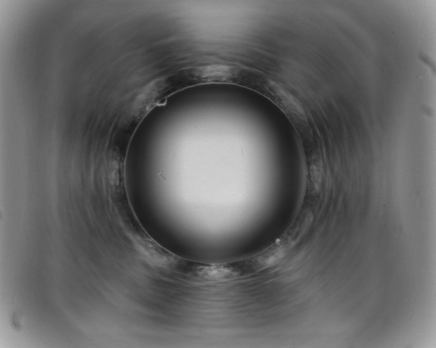 X0000098200379200804241259