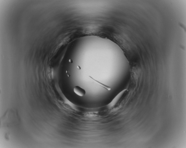 X0000098200380200804241259