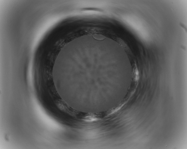 X0000098200381200804241259