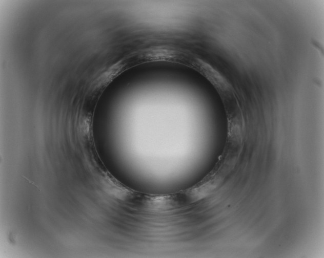 X0000098200382200804241259