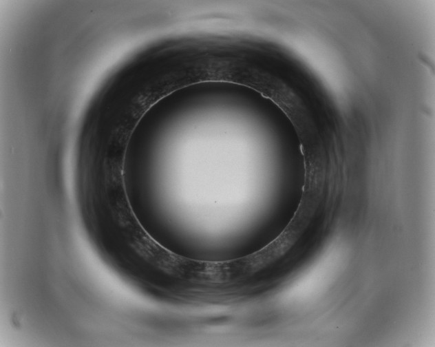 X0000098200383200804241259