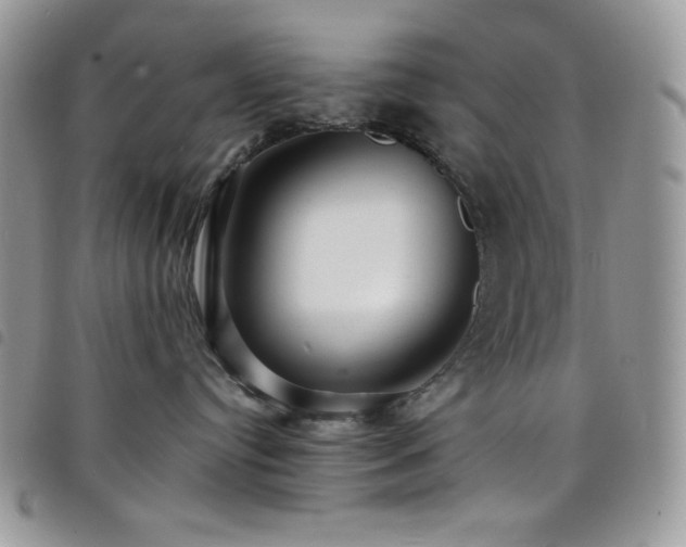 X0000098200384200804241259