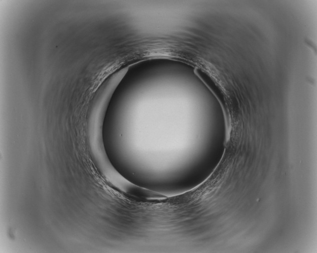 X0000098200385200804241258