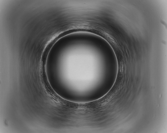 X0000098200388200804241258