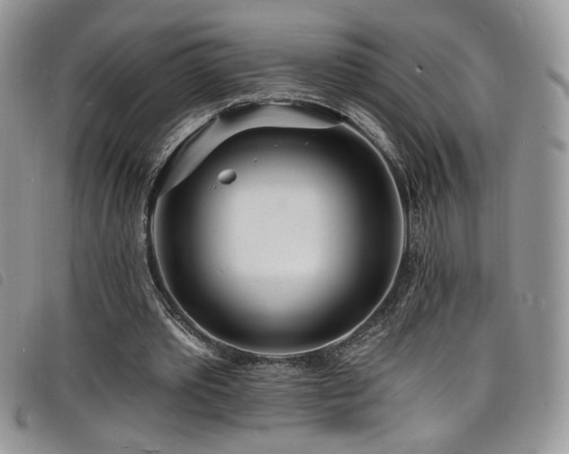X0000098200389200804241258