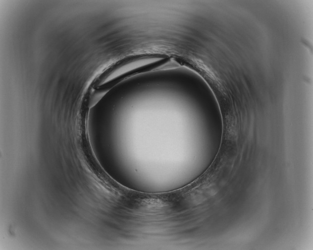 X0000098200392200804241257