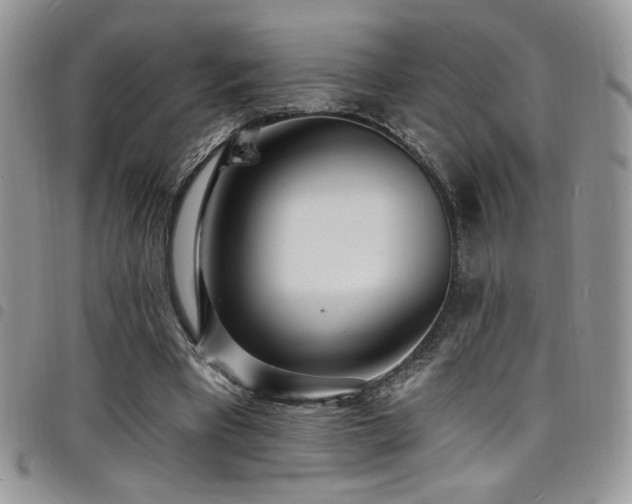 X0000098200393200804241257