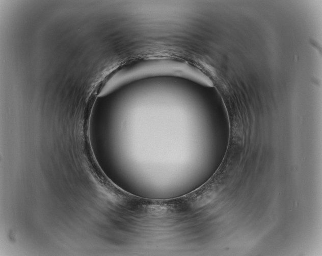 X0000098200394200804241257
