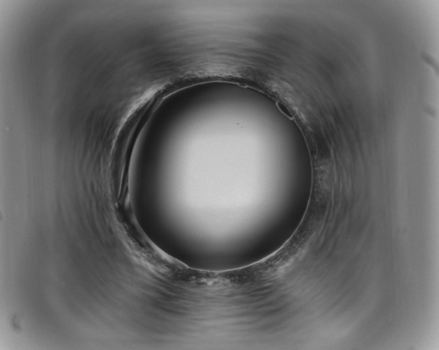 X0000098200395200804241257