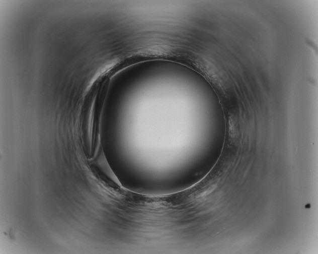 X0000098200396200804241257