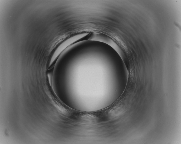 X0000098200397200804241257