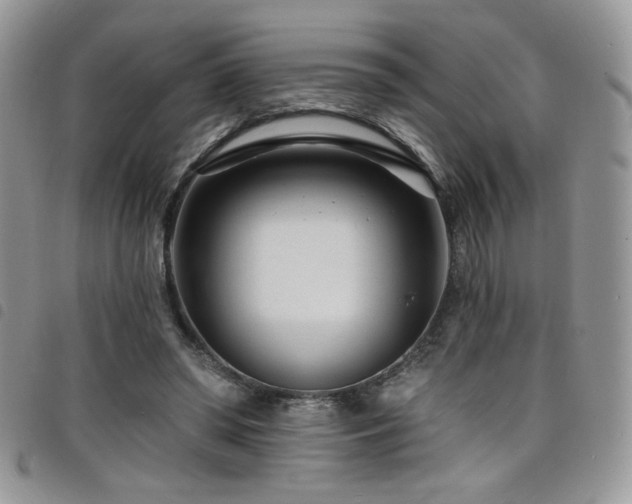 X0000098200398200804241257