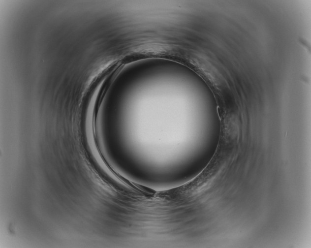 X0000098200399200804241257
