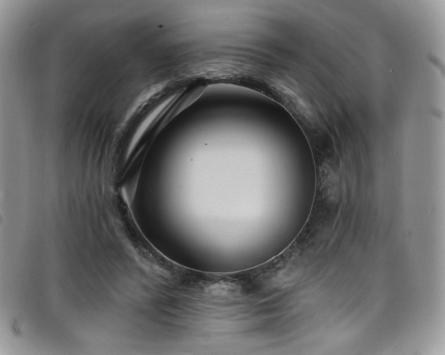 X0000098200400200804241257