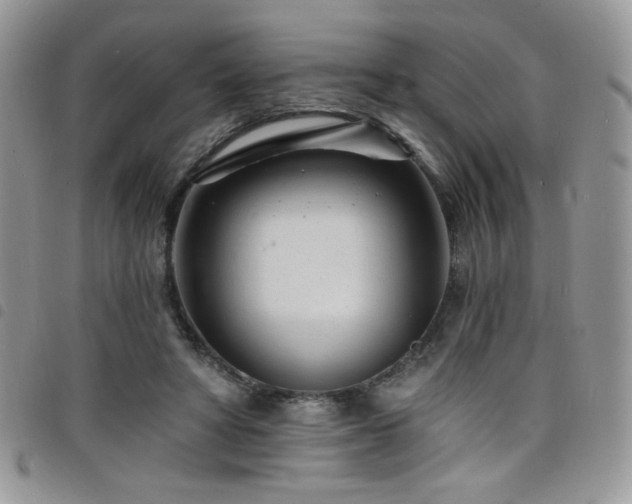 X0000098200402200804241257
