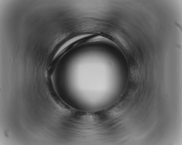 X0000098200404200804241257