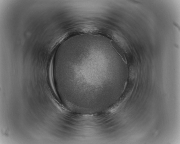 X0000098200405200804241257