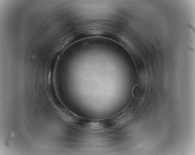X0000098200406200804241257