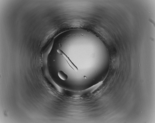 X0000098200407200804241257
