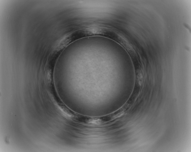 X0000098200410200804241257