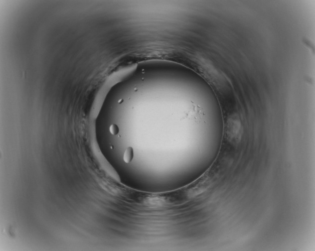 X0000098200413200804241257