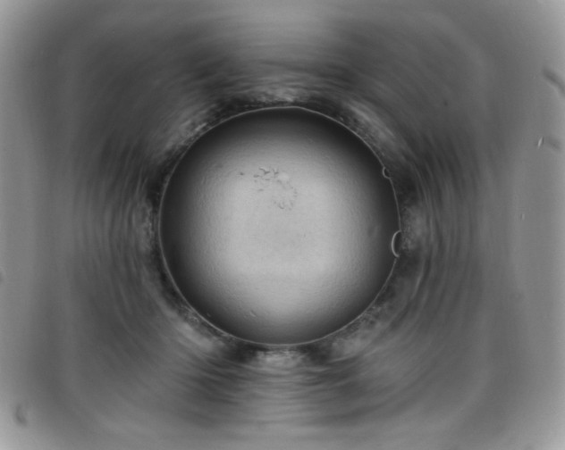 X0000098200414200804241257