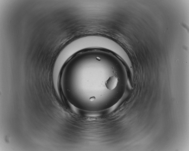 X0000098200415200804241257