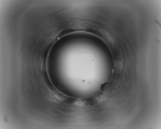 X0000098200416200804241257