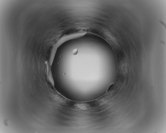 X0000098200417200804241257