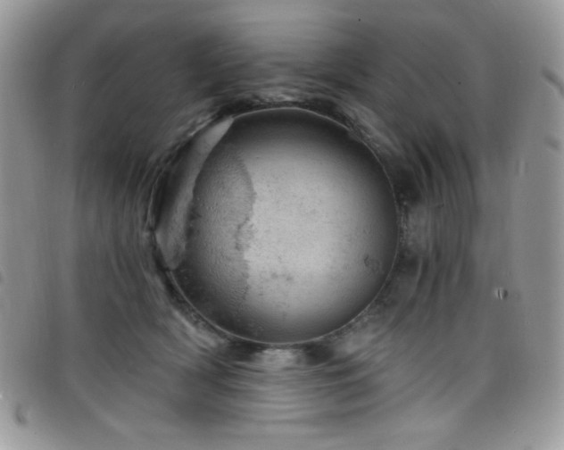 X0000098200418200804241257