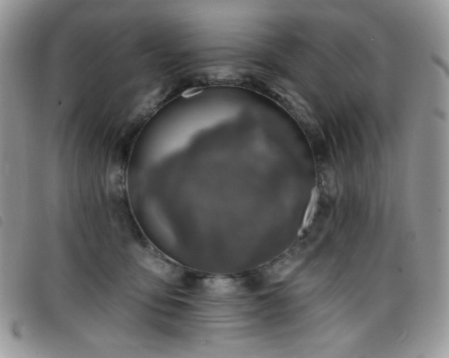X0000098200419200804241257