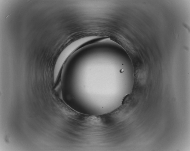 X0000098200421200804241257