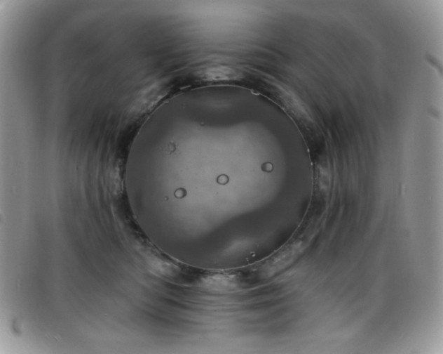 X0000098200422200804241257