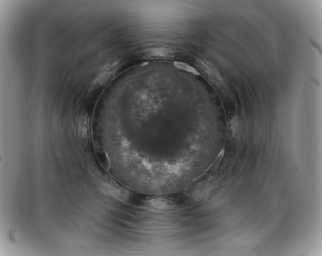 X0000098200423200804241257