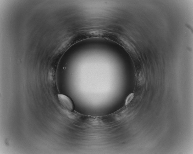 X0000098200424200804241257
