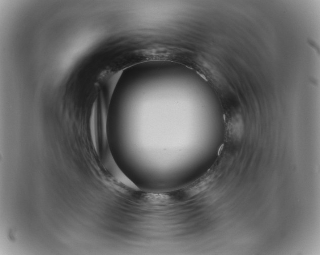 X0000098200429200804241257