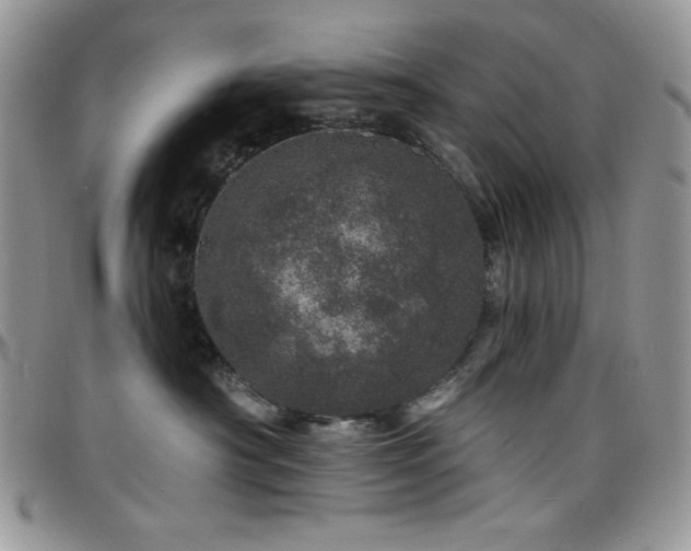 X0000098200430200804241257