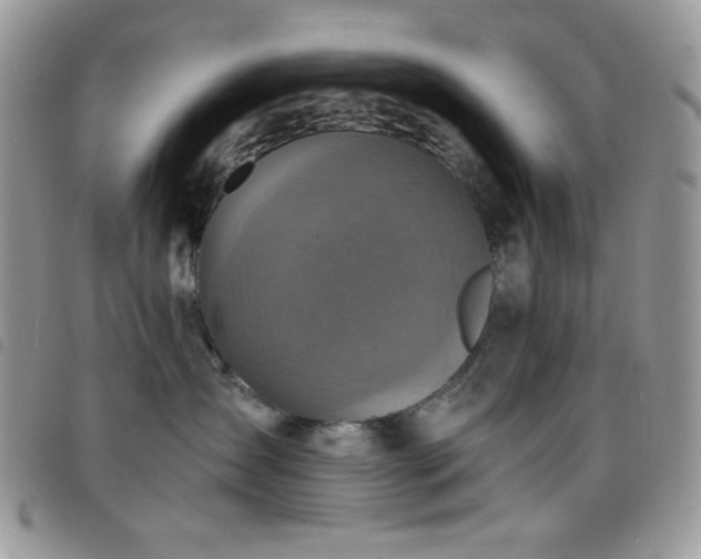 X0000098200431200804241257