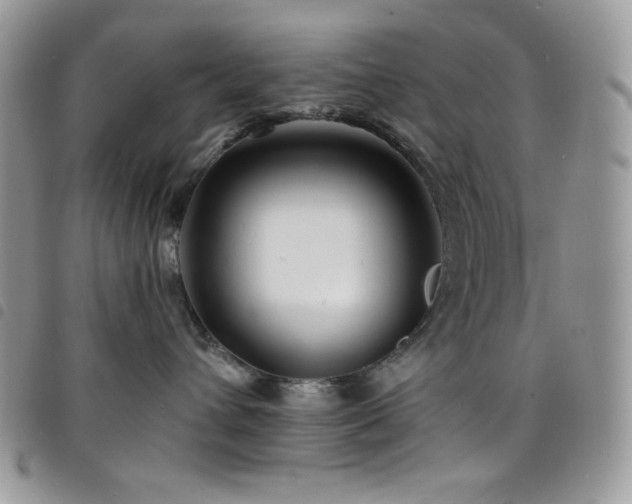 X0000098200432200804241257